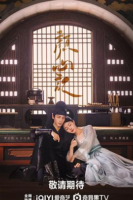 高端定制型网站排名优化